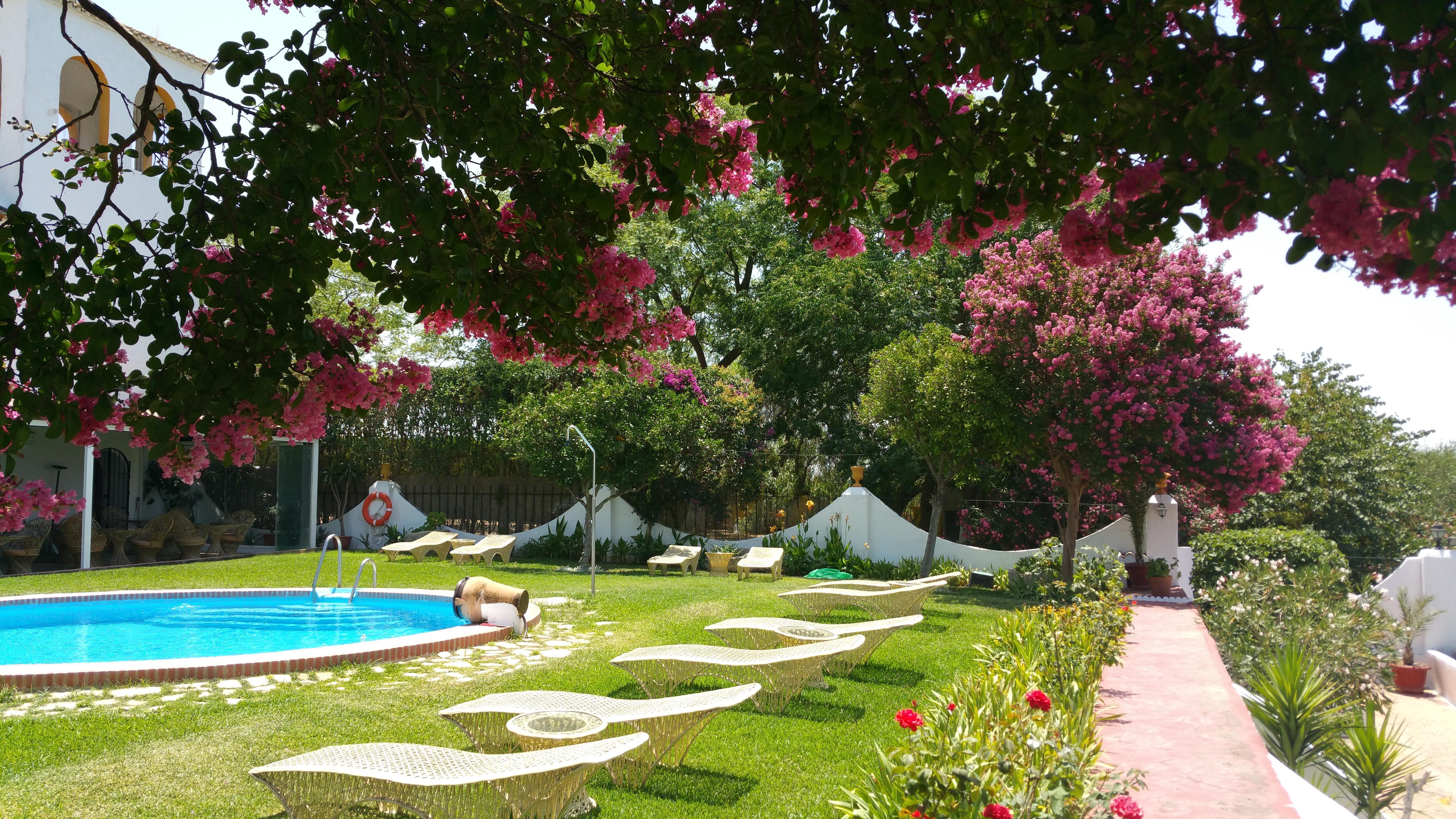Hacienda El Santiscal Adults Only Arcos de la Frontera Exterior foto